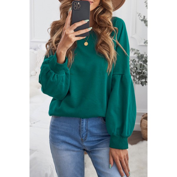 Green Raglan Patchwork Sleeve Pullover Sweatshirt