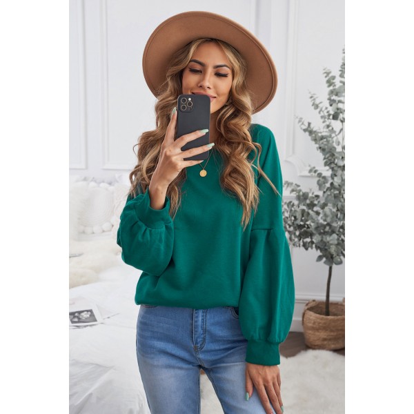 Green Raglan Patchwork Sleeve Pullover Sweatshirt