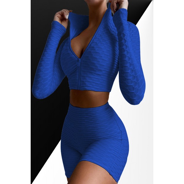 Blue Two-piece Solid Zipper Up Workout Sports Wear