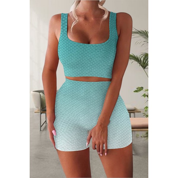 Blue Seamless Workout Gym Yoga Sports Bra and Shorts Set